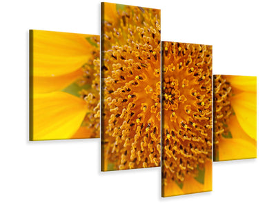 modern-4-piece-canvas-print-beautiful-buds-of-the-sunflower