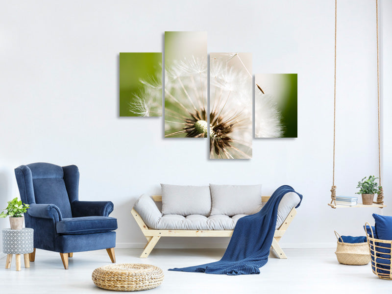 modern-4-piece-canvas-print-blowball-dandelion