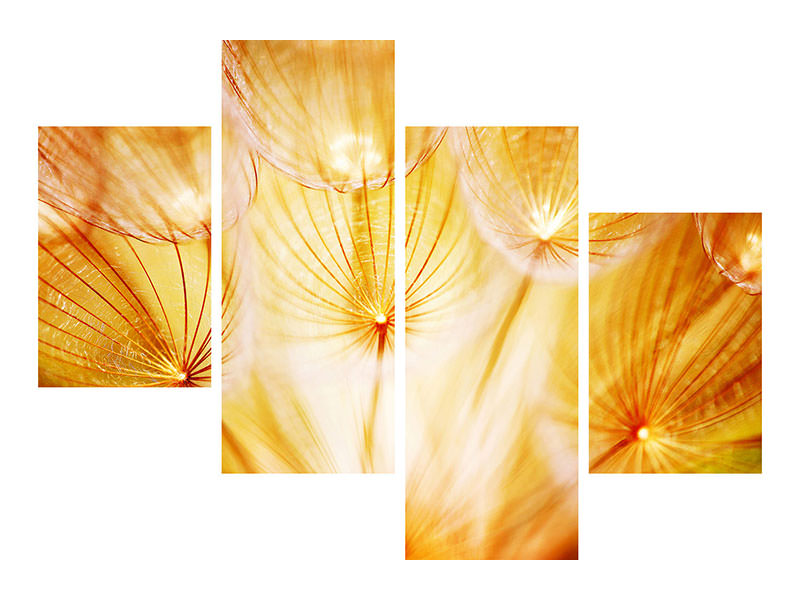 modern-4-piece-canvas-print-close-up-dandelion-in-light