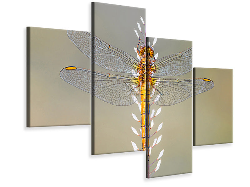 modern-4-piece-canvas-print-dragonfly