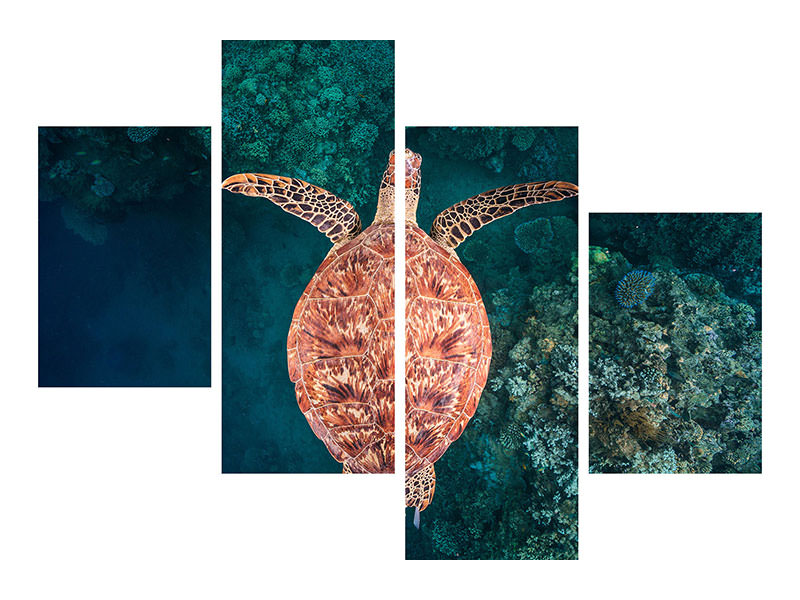 modern-4-piece-canvas-print-flying-over-the-reef