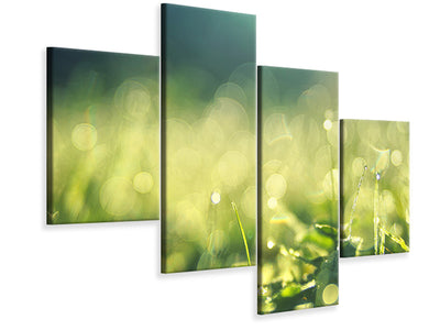 modern-4-piece-canvas-print-in-the-meadow