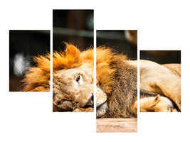 modern-4-piece-canvas-print-relaxed-lion
