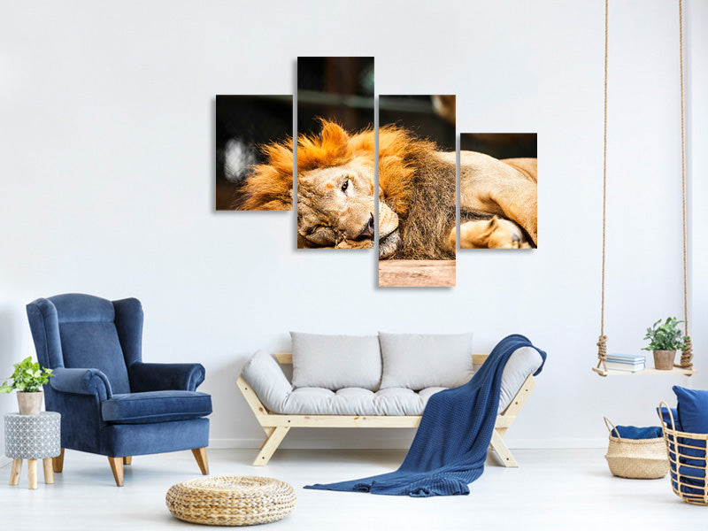 modern-4-piece-canvas-print-relaxed-lion