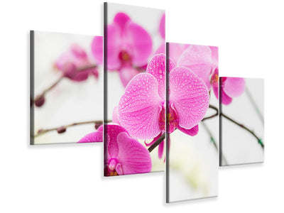 modern-4-piece-canvas-print-the-symbol-of-orchid