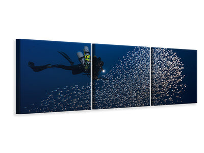 panoramic-3-piece-canvas-print-alvin-shoal