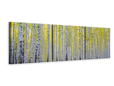 panoramic-3-piece-canvas-print-autumnal-birch-forest