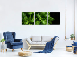 panoramic-3-piece-canvas-print-basil-in-xl