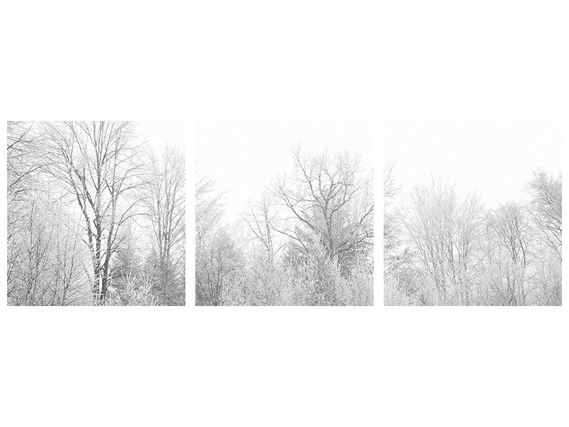panoramic-3-piece-canvas-print-birches-in-the-snow