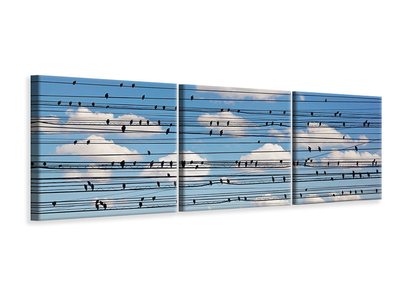 panoramic-3-piece-canvas-print-cantus-arcticus-concerto-for-birds