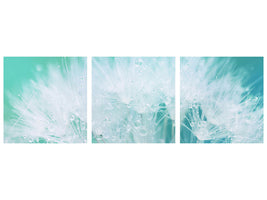 panoramic-3-piece-canvas-print-close-up-dandelion-in-morning-dew