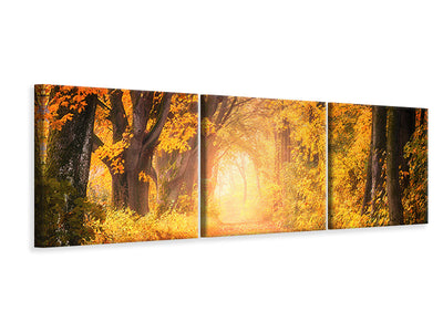 panoramic-3-piece-canvas-print-colors-magnificent-forest