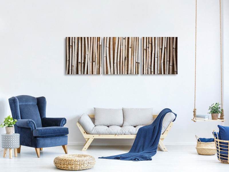 panoramic-3-piece-canvas-print-dried-bamboos