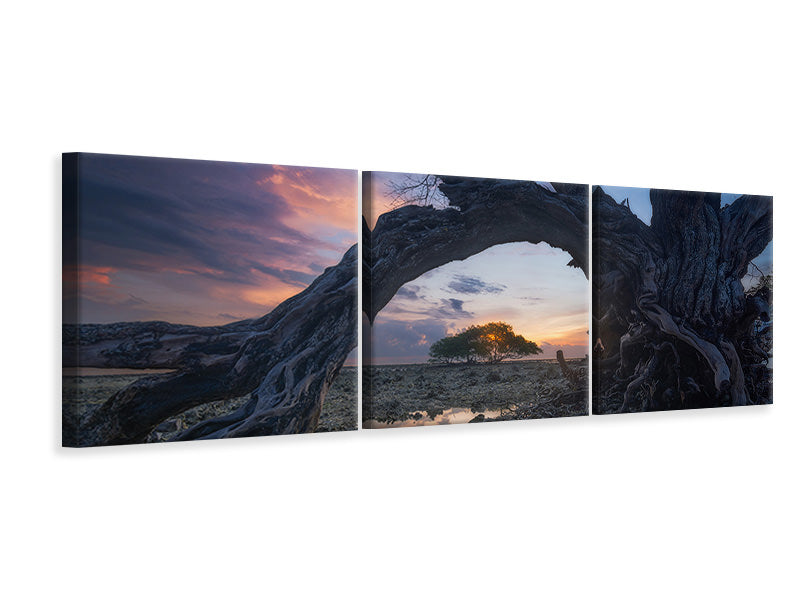 panoramic-3-piece-canvas-print-dry