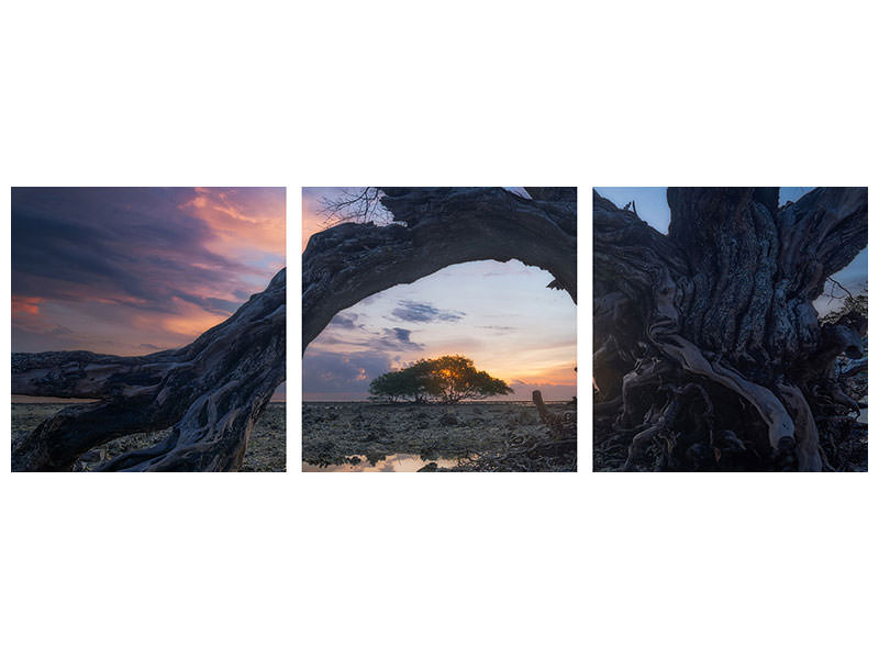 panoramic-3-piece-canvas-print-dry