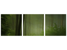 panoramic-3-piece-canvas-print-forest-morning