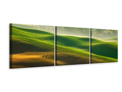 panoramic-3-piece-canvas-print-freedom-ii