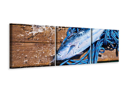 panoramic-3-piece-canvas-print-freshly-caught-fish