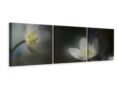 panoramic-3-piece-canvas-print-light-in-the-darkness