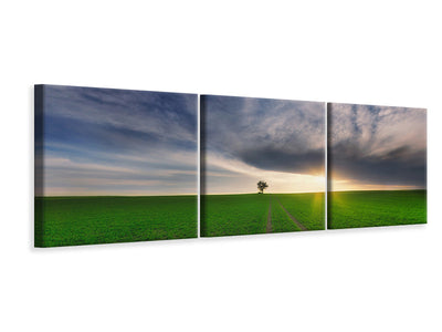 panoramic-3-piece-canvas-print-loner-in-the-sun
