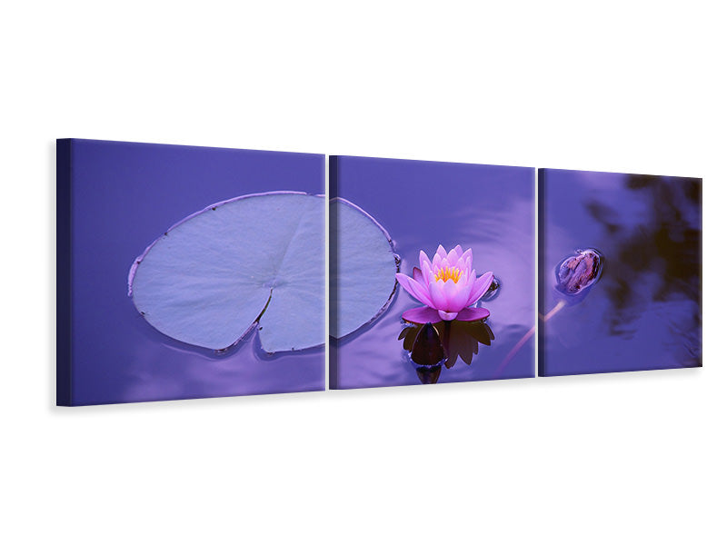 panoramic-3-piece-canvas-print-lotus-flower