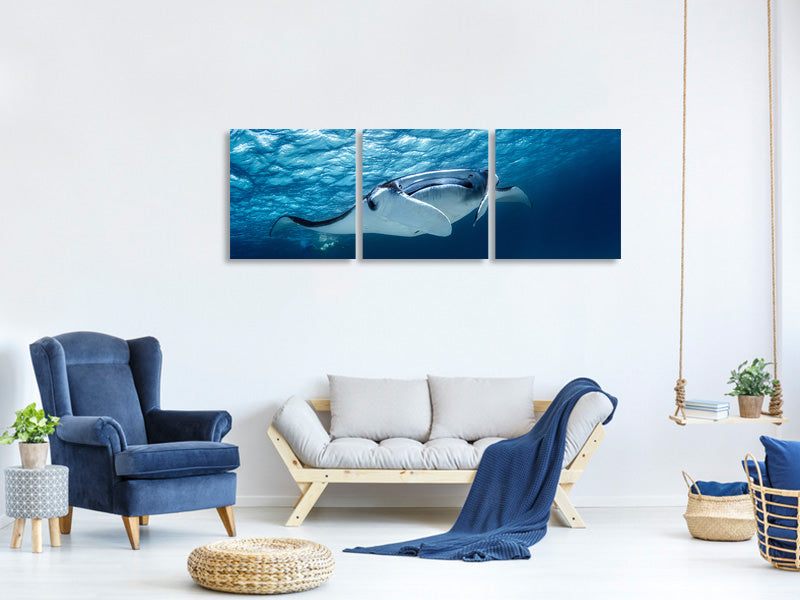 panoramic-3-piece-canvas-print-manta-ray