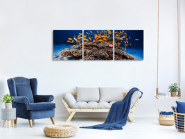 panoramic-3-piece-canvas-print-marine-life