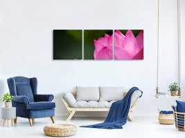 panoramic-3-piece-canvas-print-marko-lotus-in-pink