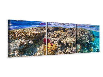 panoramic-3-piece-canvas-print-mayotte-the-reef