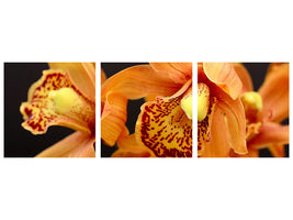 panoramic-3-piece-canvas-print-orchids-with-orange-flowers