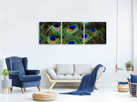 panoramic-3-piece-canvas-print-peacock-feathers-xxl