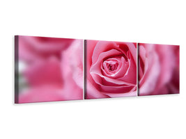 panoramic-3-piece-canvas-print-roses-macro