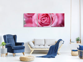 panoramic-3-piece-canvas-print-roses-macro