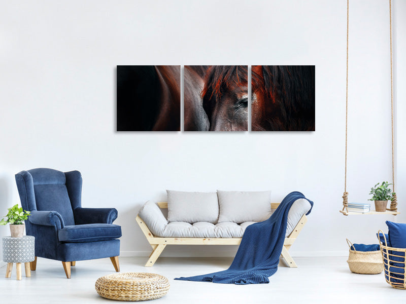 panoramic-3-piece-canvas-print-sleep-huddle