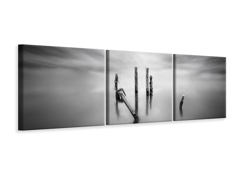 panoramic-3-piece-canvas-print-sticks-ii