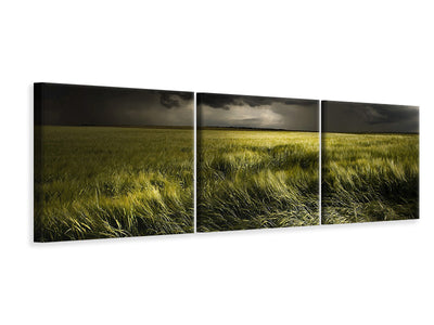 panoramic-3-piece-canvas-print-summer-weather