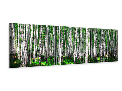 panoramic-3-piece-canvas-print-summerly-birch-forest
