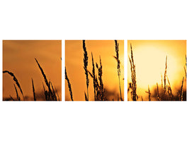 panoramic-3-piece-canvas-print-sunrise-on-the-field