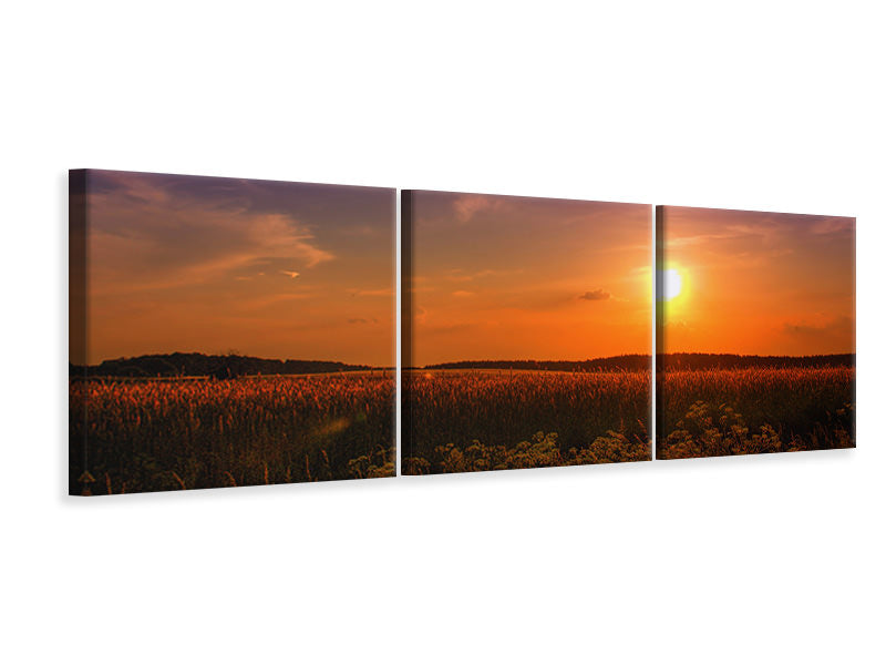 panoramic-3-piece-canvas-print-sunset-at-the-flower-field