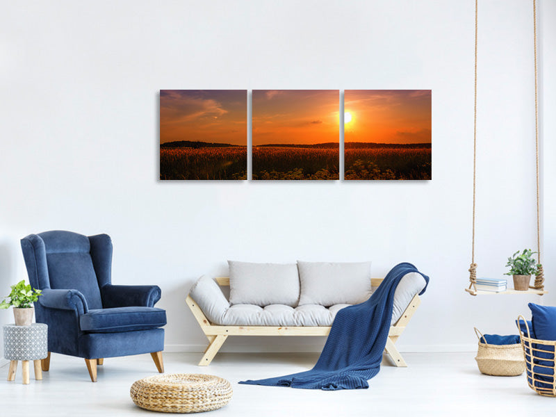 panoramic-3-piece-canvas-print-sunset-at-the-flower-field