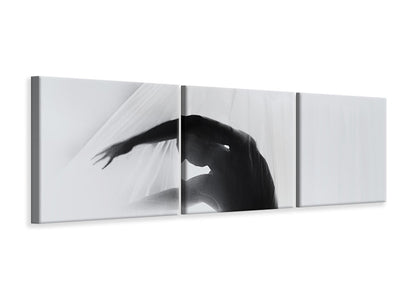 panoramic-3-piece-canvas-print-the-dance-of-silence