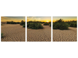 panoramic-3-piece-canvas-print-the-drought