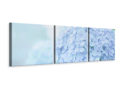 panoramic-3-piece-canvas-print-the-hydrangea