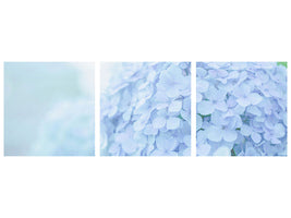 panoramic-3-piece-canvas-print-the-hydrangea