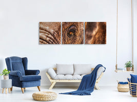 panoramic-3-piece-canvas-print-the-look-of-the-elephant