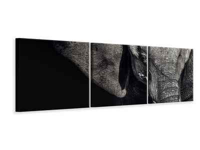 panoramic-3-piece-canvas-print-the-matriarch