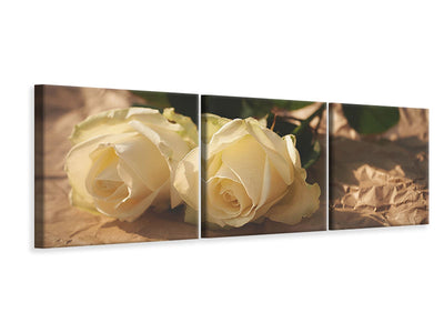panoramic-3-piece-canvas-print-the-purity-of-the-roses