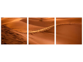 panoramic-3-piece-canvas-print-traces-in-the-desert