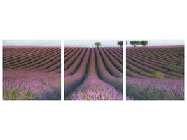 panoramic-3-piece-canvas-print-velours-de-lavender