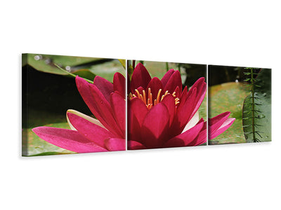 panoramic-3-piece-canvas-print-water-lily-in-red